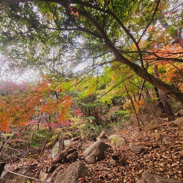 Autumn hiking and foliage viewing at Bukhansan