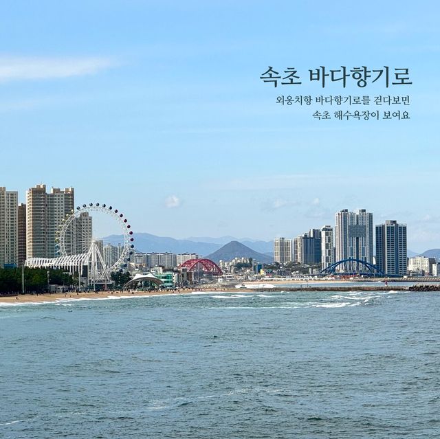 속초 나만 알고싶은 둘레길코스, 바다향기로