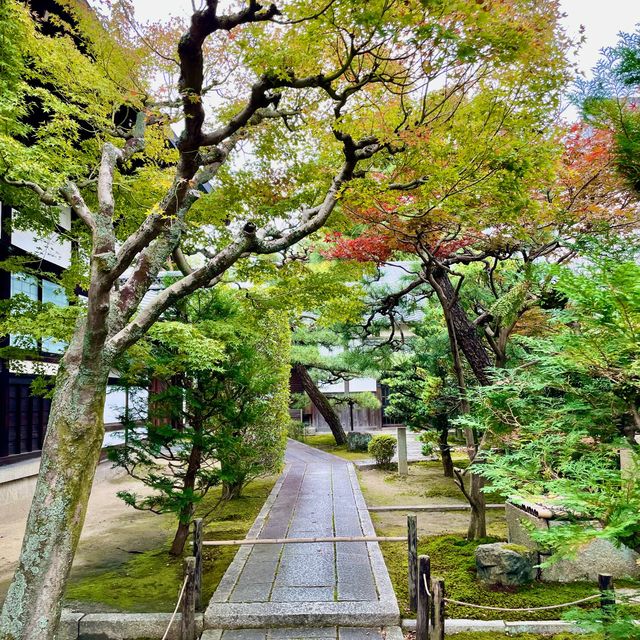 Taikō-an Tranquility: Kyoto's Tea Haven