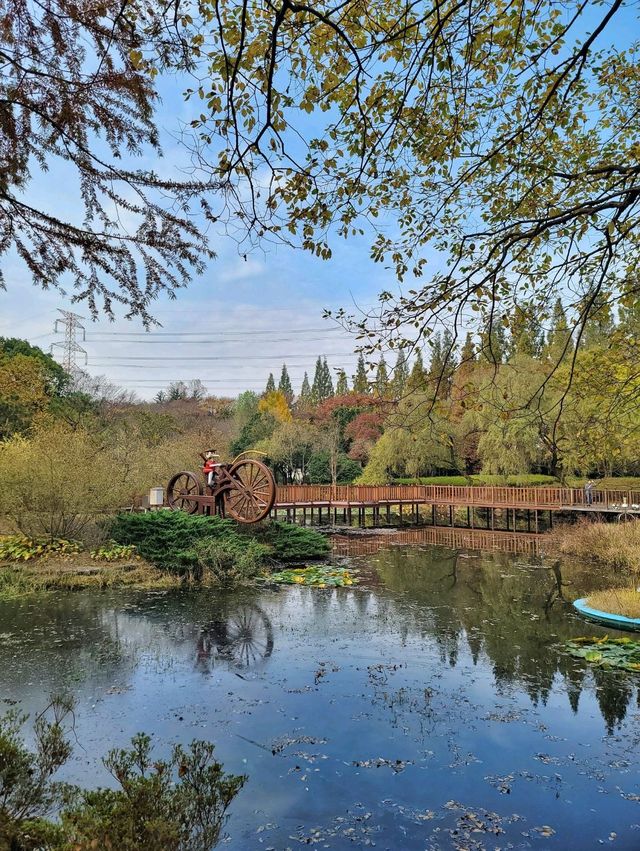 아직은 보내기 싫은 늦가을 즐기기🍁