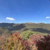 The Place with Eternal Autumn Foilage!
