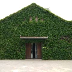 Fujin Tree Taiwanese Cuisine & Champagne (Songshan) User Photo