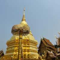สักการะพระธาตุดอยสุเทพ คู่เมืองล้านนา