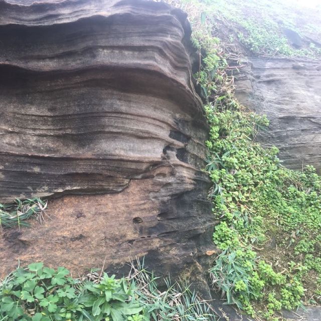 探索南雅奇岩—台灣最美的天然石景之一