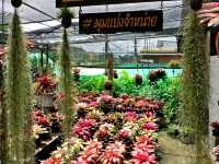 Oasis Handmade Cafe พังงา