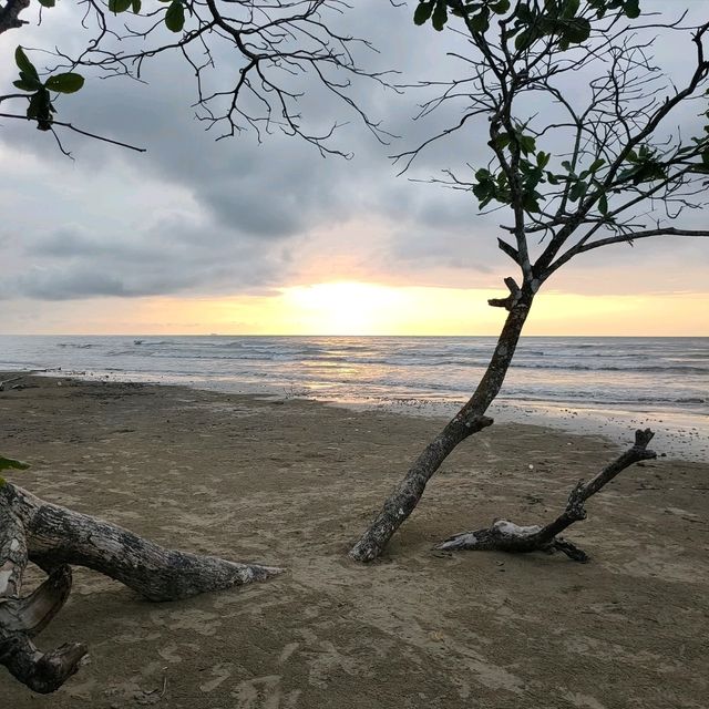 Pasakon Beach Camping Papar Sabah 