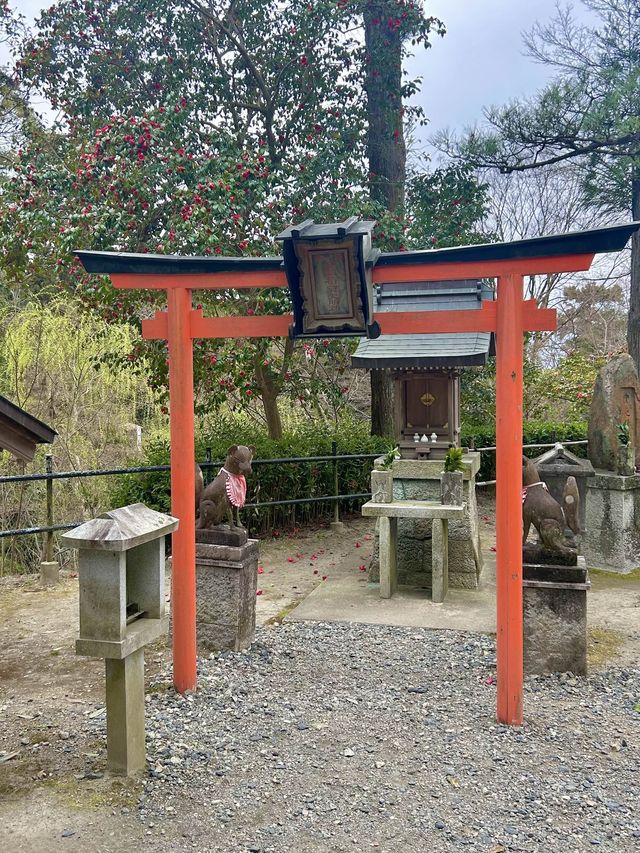 일본감성 최고치-교토 산넨자카,청수사🏮