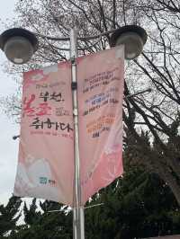 부천 진달래 하면 바로 이 곳! 진달래 축제가 열리는 곳!🌸 [부천_진달래동산]