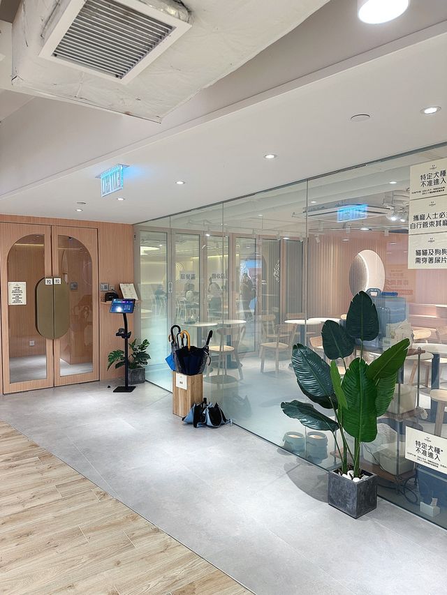 【貓貓控必去.無入場費貓Cafe🐈】