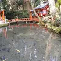 日本的夏天總是那麽的詩情畫意，無數原鄉原味的日本元素編織成日本美麗的夏季。日本人傳統的消夏流水素麵。