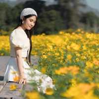 🌼 กระเพรา & coffee