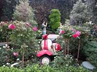 Roses Romance