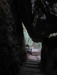 小琉球隱藏的原始森林🌳《山豬溝》