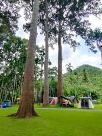 ยางนาแคมป์ Yangna Camp อุทัยธานี