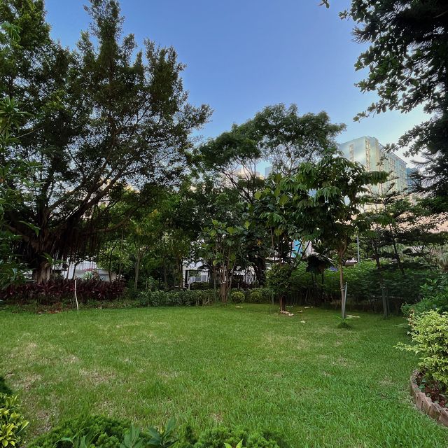 佔地廣闊嘅櫻桃街公園