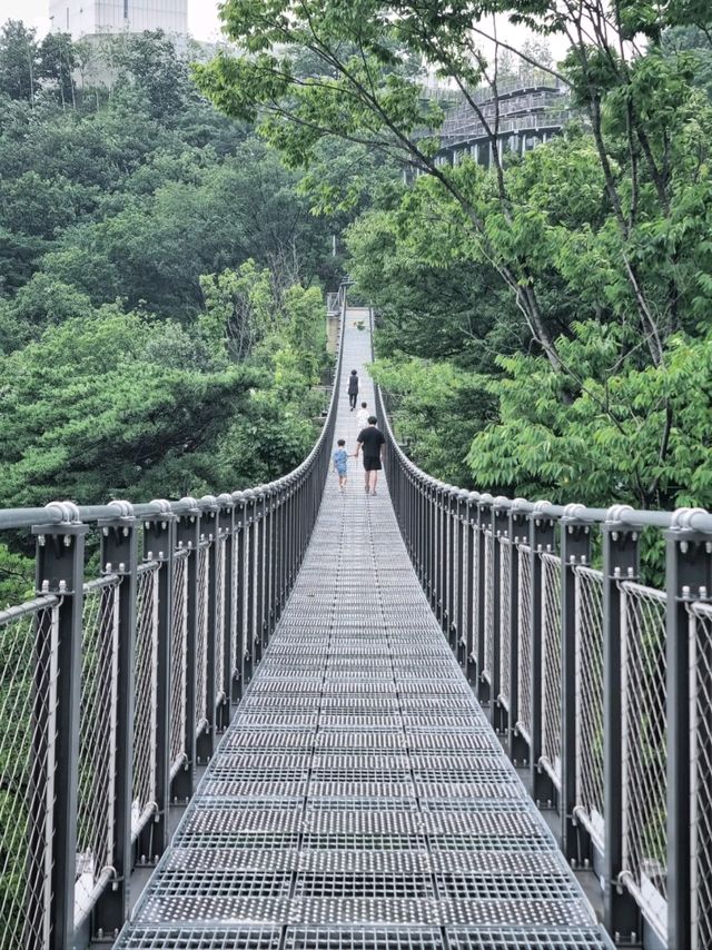 흔들다리를 건너면 전망대가 있는 공원