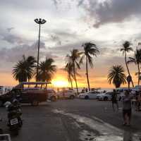 An Enchanting Journey through the Vibrant Del