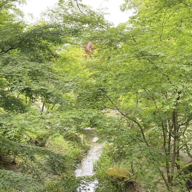 京都 1度は訪れたいオススメSPOT！