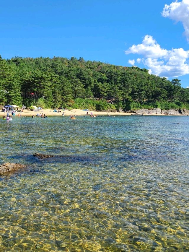 【京都】鳴き砂のある絶景海水浴場