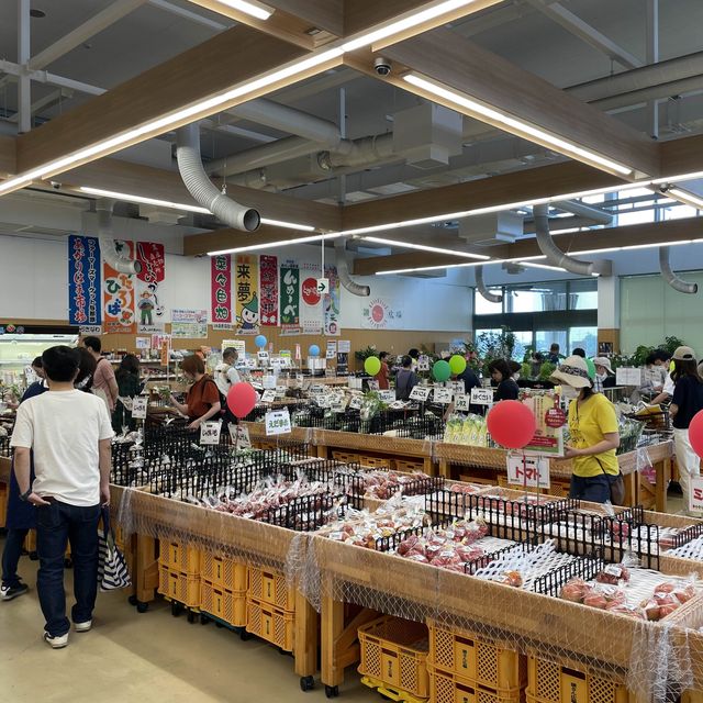 日本香川縣 - JA香川飯南・桃直売所