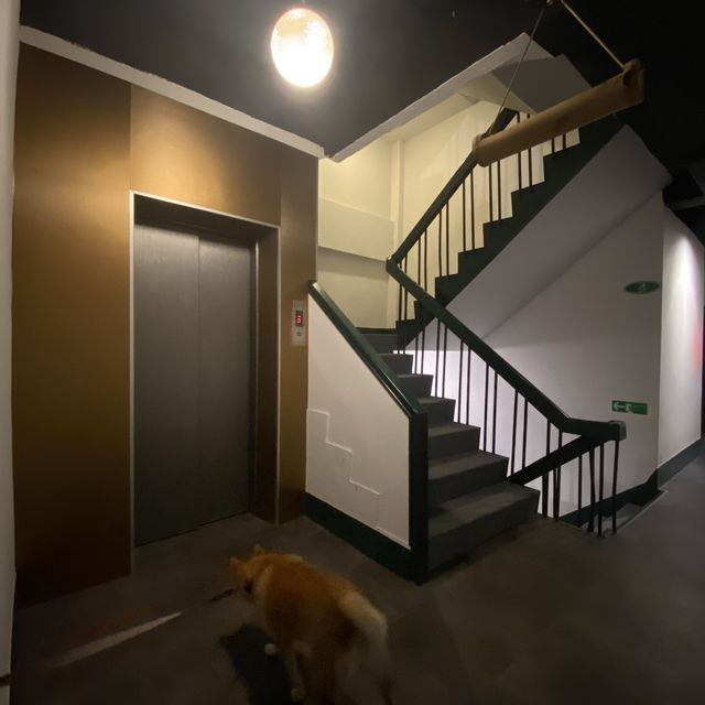 閒雲小居會館💤