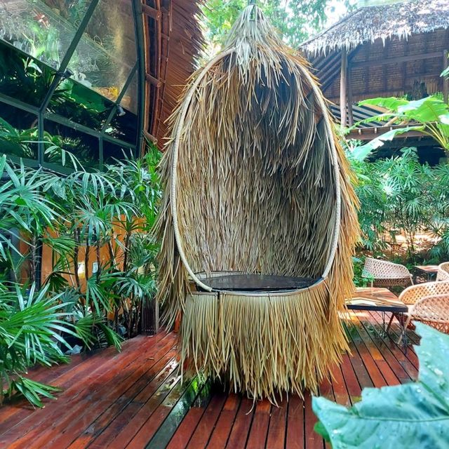 คาเฟ่ฟีลป่าในภูเก็ต