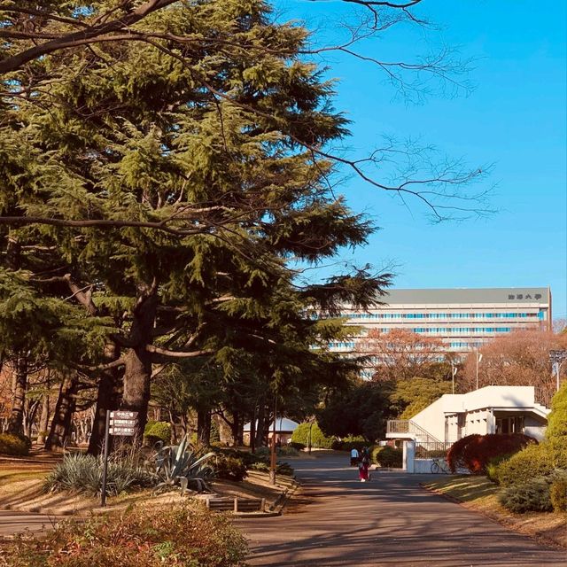 【都市の自然公園】駒沢オリンピック公園