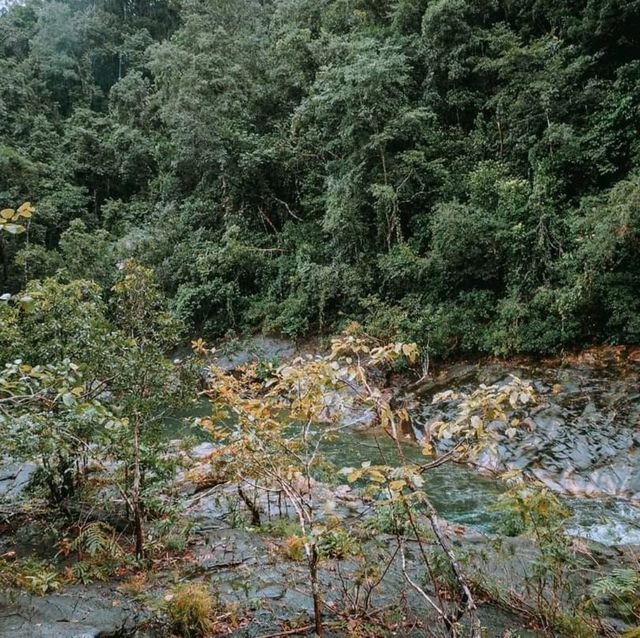 เกาะช้างไม่ได้มีดีแค่ทะเล 🏞🌿