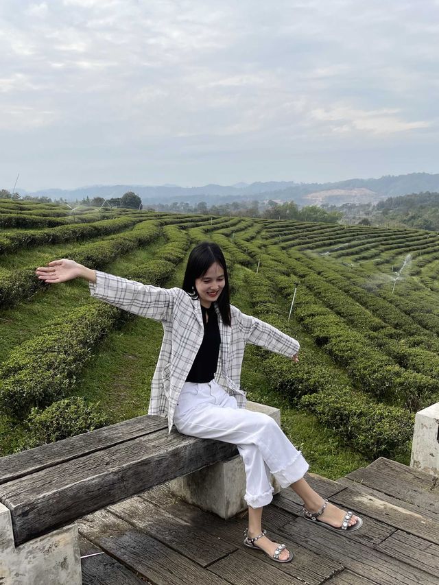 คาเฟ่วิวหลักล้านในไร่ชาฉุยฟง🍵🌱