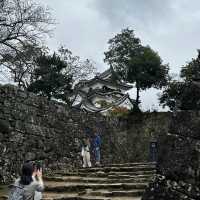 the beauty of himeji castle 🏰 