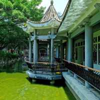 荃灣賽馬會德華公園🏯🌳秋意的寧靜與美麗😍🌺！