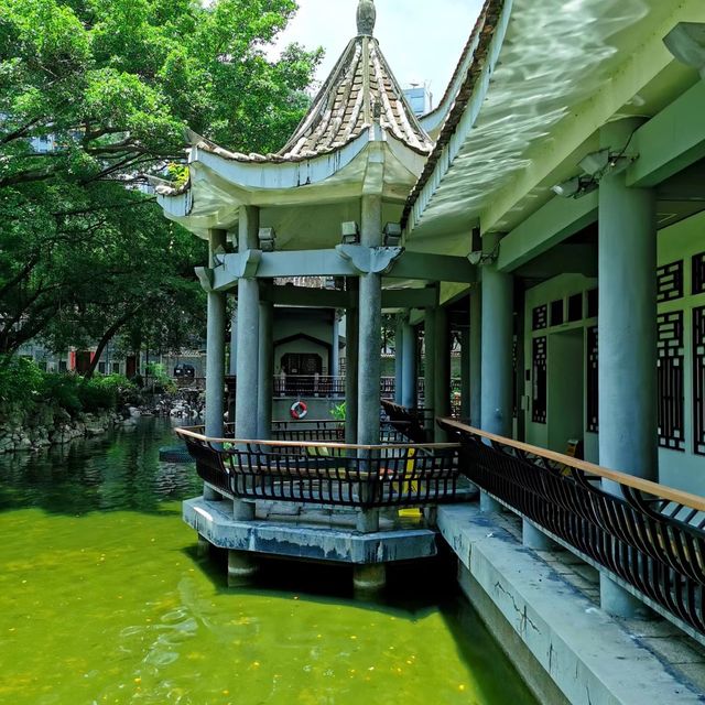 荃灣賽馬會德華公園🏯🌳秋意的寧靜與美麗😍🌺！