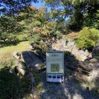 名古屋城行くならぶらり二之丸庭園！名勝指定の庭