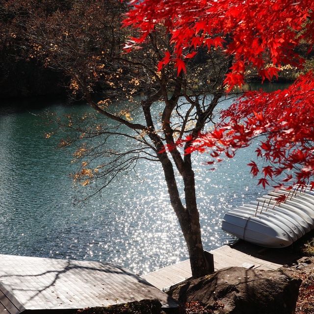 Goshikinuma ponds , autumn vibe 🍁