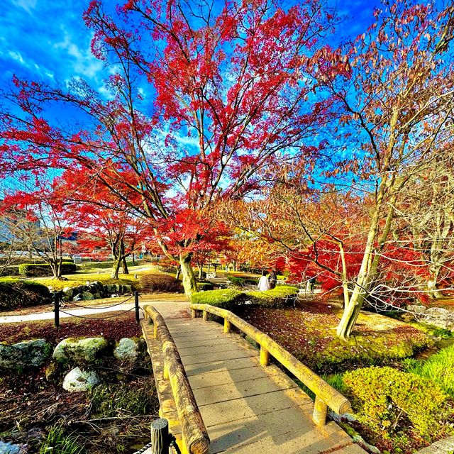 曽木公園