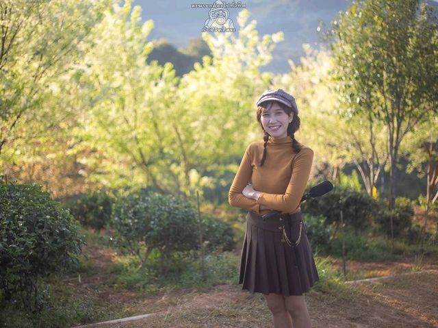 หนาวนี้...ไร่ชา 2000 ดอยอ่างขาง
