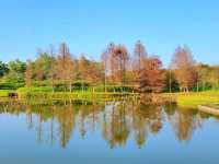 【港版加拿大湖🇨🇦~濕地公園🍁】