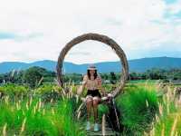 เที่ยวเขาใหญ่ พักกันที่ Nay Joe Resort Khao Yai 