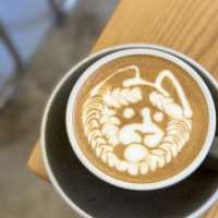 Hikari cafe
