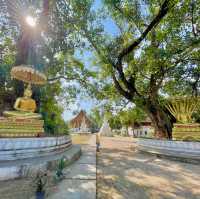 Aham Reverie: Timeless Tranquility Beckons