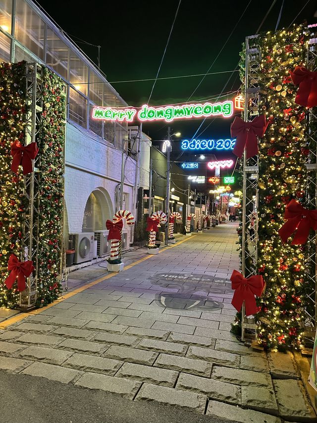 동명동 크리스마스 네온거리, 여행자의 집 트리정원💕