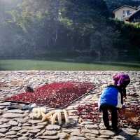 Yunshuiyao, heritage ancient town in Fujian