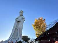 日本高崎市達磨寺 觀音山