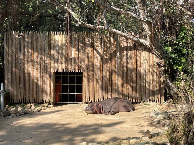 台灣歷史最悠久的動物園，新竹市立動物園