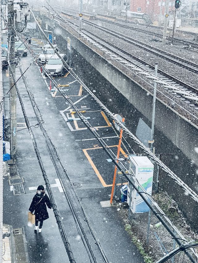 Winter in Tokyo ❄️❄️❄️