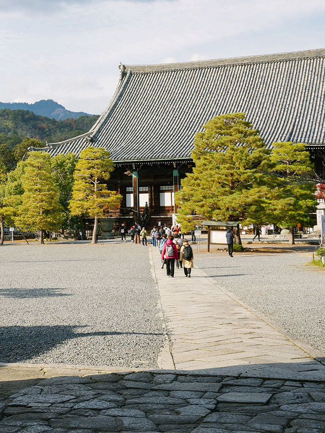 京都景點｜嵐山免費的賞楓地——清涼寺