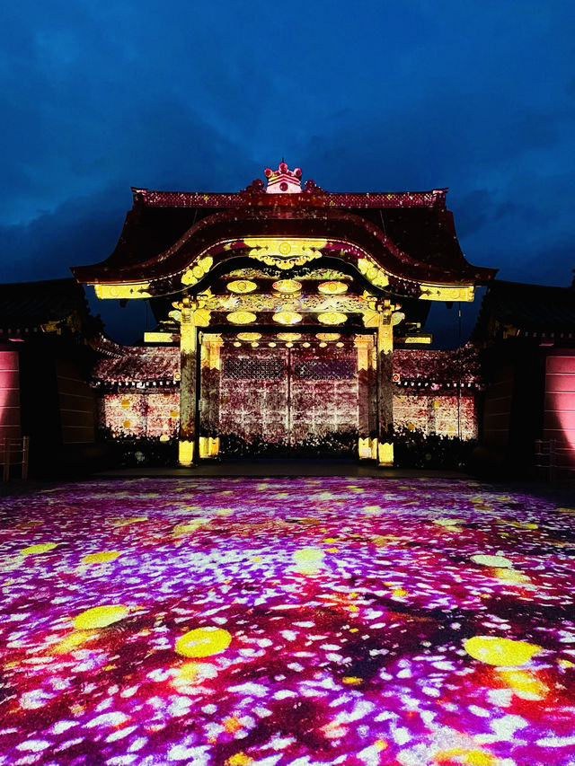 【京都】2024年も開催決定！世界遺産二条城で楽しむ夜桜イベント🌸🏯