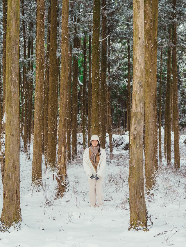 ❄️눈오는날 사람없는 제주여행지 [제주, 제주안전체험관]