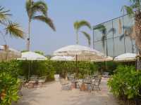 Takara Cafe and Wong Bar คาเฟ่ริมทะเลบางแสน 