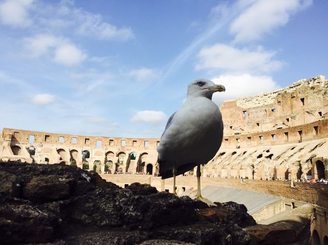 【イタリア】古代ローマを感じる！コロッセオ